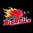 https://img.zhizhuzhibov.com.cn/img/basketball/team/bcb478f91fa9177647848bc08ccc209c.png