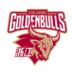 https://img.zhizhuzhibov.com.cn/img/basketball/team/d1d77f07287fe840a7e77459e5bd1bfc.png