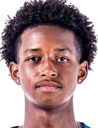 https://img.zhizhuzhibov.com.cn/img/football/player/0678f02075e3d5e8c48f6e8c18a23239.png