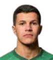 https://img.zhizhuzhibov.com.cn/img/football/player/16b124055082fc8f6781e435c96936b2.png