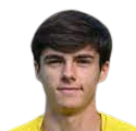 https://img.zhizhuzhibov.com.cn/img/football/player/1851536a06b2017549c523ea63ddc57b.png
