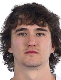 https://img.zhizhuzhibov.com.cn/img/football/player/189079e10e68f137620e45a938e598a4.png