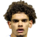 https://img.zhizhuzhibov.com.cn/img/football/player/19198e45f81a0add4651fdb6197a3d8c.png