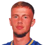 https://img.zhizhuzhibov.com.cn/img/football/player/1ea502df31a0fd652a9f6c4223713521.png