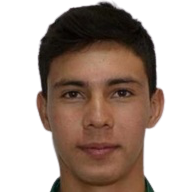 https://img.zhizhuzhibov.com.cn/img/football/player/268781c2fb70b0ac17e54c3d0d0416e0.png