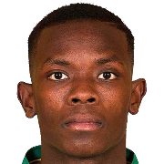 https://img.zhizhuzhibov.com.cn/img/football/player/2b9484968e4294b06ebeef1deb2ea59d.png