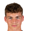 https://img.zhizhuzhibov.com.cn/img/football/player/33703aacde33eed86b2e4752fd675d6e.png