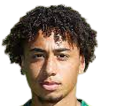 https://img.zhizhuzhibov.com.cn/img/football/player/347a6d58ae7ec0425a4d42bc9215c411.png
