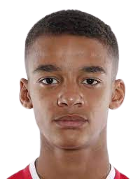 https://img.zhizhuzhibov.com.cn/img/football/player/36ffb830d16dba074b96e5c8c1a2608f.png
