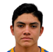 https://img.zhizhuzhibov.com.cn/img/football/player/3a5c58b40bc40ea739ca073637c3f105.png