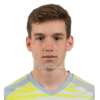 https://img.zhizhuzhibov.com.cn/img/football/player/42febc71cb8a1e0e40e1da3768e43dcd.png