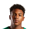 https://img.zhizhuzhibov.com.cn/img/football/player/499845fe5c19a1ed086467cf83699b65.png