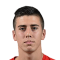 https://img.zhizhuzhibov.com.cn/img/football/player/58ea8201b780d463ed9d9c54005a6969.png