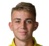https://img.zhizhuzhibov.com.cn/img/football/player/5cafd4a09d9c319fa5868b199dde1728.png