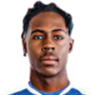 https://img.zhizhuzhibov.com.cn/img/football/player/5f6f43b412abd06c299fbb1634062375.png