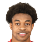 https://img.zhizhuzhibov.com.cn/img/football/player/64aea37ce0103535429e307ff7cca0e6.png