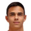 https://img.zhizhuzhibov.com.cn/img/football/player/68d2850119c660750ace368aca9c78ba.png