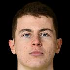 https://img.zhizhuzhibov.com.cn/img/football/player/6ab4544717d9558335ea232fbd7e1fc8.png