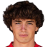 https://img.zhizhuzhibov.com.cn/img/football/player/72e130bc2f3ac6ffd21767de7409f115.png