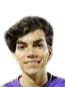 https://img.zhizhuzhibov.com.cn/img/football/player/79c3a041737923f2795a82fbe6dd8fd1.png