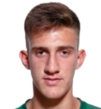 https://img.zhizhuzhibov.com.cn/img/football/player/9b91996c393311df946acc219f8f4af5.png