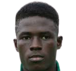 https://img.zhizhuzhibov.com.cn/img/football/player/a288a06d8812414cb865220f79687d7d.jpg