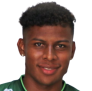 https://img.zhizhuzhibov.com.cn/img/football/player/a5eb88daca2b0dc1a5c6d3e0c233d0c8.png