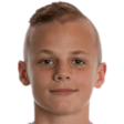https://img.zhizhuzhibov.com.cn/img/football/player/abe497830979567d83ab72ba5e7410f5.png
