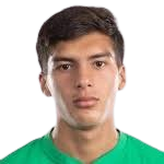 https://img.zhizhuzhibov.com.cn/img/football/player/b5893eb52c989f3ec99c4b26900ac313.png