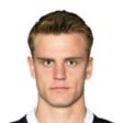 https://img.zhizhuzhibov.com.cn/img/football/player/cab5b32a13cec7669c4db2130d59b28c.jpg