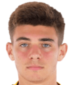 https://img.zhizhuzhibov.com.cn/img/football/player/cdf460848e3a959d0508a953ed29dc0c.png
