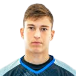 https://img.zhizhuzhibov.com.cn/img/football/player/d7a08af81f86077a95ea1da6334b6d8e.png