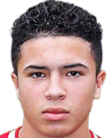 https://img.zhizhuzhibov.com.cn/img/football/player/d95054a0e727f334463fc369b55f13a2.png