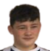 https://img.zhizhuzhibov.com.cn/img/football/player/e907d41fb4fc3798f1e08649b2451dc7.png