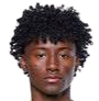 https://img.zhizhuzhibov.com.cn/img/football/player/eca1d0053ef970d8a691c238c38e1893.png