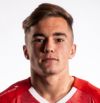 https://img.zhizhuzhibov.com.cn/img/football/player/fb1cf3690b8bb8a5d840f77601e86879.jpg