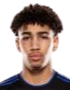 https://img.zhizhuzhibov.com.cn/img/football/player/fb7fd3390bdc25307ce54843fe6472dd.png