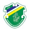 https://img.zhizhuzhibov.com.cn/img/football/team/079dd394cc2355231bb0aee65bd140a2.png
