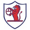 https://img.zhizhuzhibov.com.cn/img/football/team/11fb72f7b5eacfc881ee11bac75871fa.png