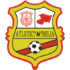 https://img.zhizhuzhibov.com.cn/img/football/team/1cd995bdc2b652d31129d027afb27ed8.png