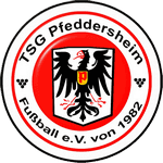 https://img.zhizhuzhibov.com.cn/img/football/team/24bdcadb4a4d2f906720e31f3e24db32.png