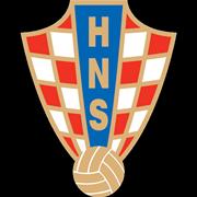 https://img.zhizhuzhibov.com.cn/img/football/team/3caa69f41b3bf6e81905d65aa4e6d53c.png