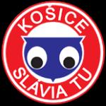 https://img.zhizhuzhibov.com.cn/img/football/team/68447ae762ca6ae39c9902fb2dfb003f.webp