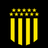 https://img.zhizhuzhibov.com.cn/img/football/team/68b4fd9f62681acaf82ffd68ad2f51f2.png