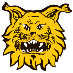https://img.zhizhuzhibov.com.cn/img/football/team/9f170a9ffc15b4141b790f4ff042cc51.png