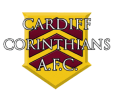 https://img.zhizhuzhibov.com.cn/img/football/team/afe292611312572794465f5af748954a.png