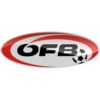 https://img.zhizhuzhibov.com.cn/img/football/team/be70130b180875a576e98a5a33c8238a.png