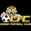 https://img.zhizhuzhibov.com.cn/img/football/team/cc4189282b08b40c695ca3fea36178c2.png