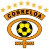 https://img.zhizhuzhibov.com.cn/img/football/team/dfef59103668b52788e357e8ac07e9ef.png