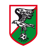 https://img.zhizhuzhibov.com.cn/img/football/team/e6a8908dd206e2ea02d9803c82c60bba.png